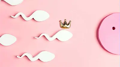 Quality Sperm Bank & Competitive Price